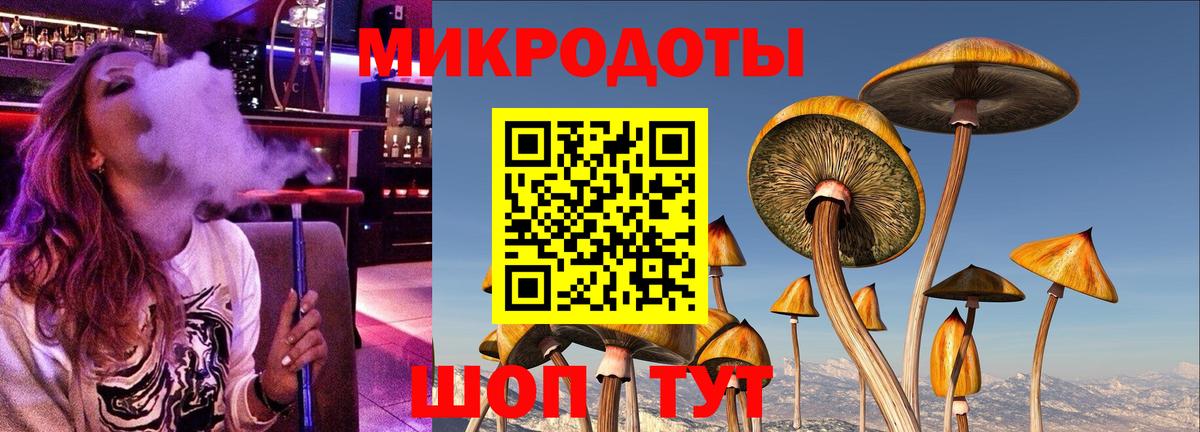 Галлюциногенные грибы Cubensis Бердск