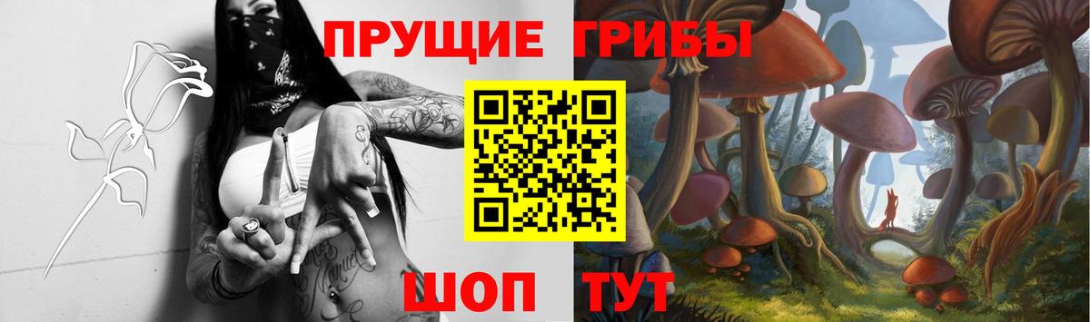 Бердск  Галлюциногенные грибы ЛСД  Вход с VPN  Галлюциногенные грибы Psilocybe 